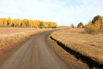 Fototapeta na wymiar Winding road through the yellow autumn forest