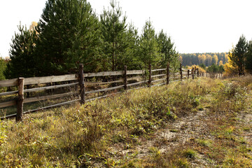 A board fence in a field against the background of an autumn forest