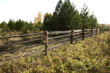 A board fence in a field against the background of an autumn forest
