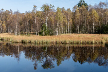 Moorsee im Roten Moor in der Rhön