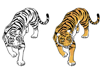 2022年 寅年 年賀状 虎　トラ 令和四年