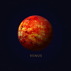 venus in space vector.Elements of this vector furnished by NASA