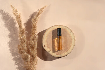 Glass perfume sample with transparent brown liquid on a wooden tray lying on a beige background with pampas grass. Luxury and natural cosmetics presentation. Tester on woodcut in sunlight. Top view