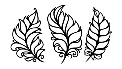 Set of three skeletons of a leaf, a feather. Drawn with a thin black line on a white background, isolated object. Coloring book, tattoo or print. The theme of nature, plants.  Vector illustration.