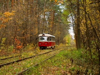 Fototapeta na wymiar Red tram in the autumn forest. Natural autumn background