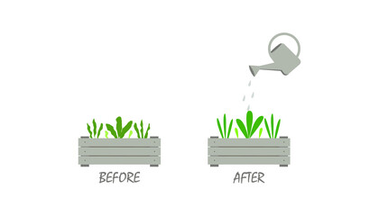 Watering plants, the concept of "before-after". Vector illustration. 