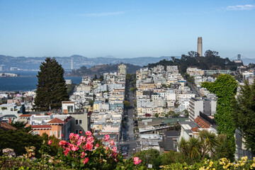 Lombard Street, San Francisco, California, U. S. A.