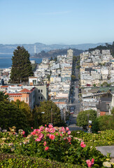 Lombard Street, San Francisco, California, U. S. A.