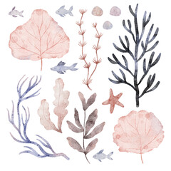 Watercolor underwater plants. Fish, starfish, coral reef.