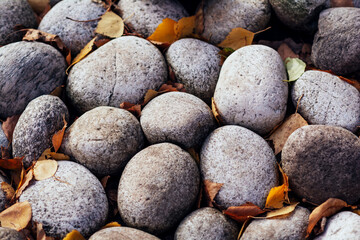 Pebble gray stone with autumn leaves. Natural material texture. Garden decoration. Wallpaper and background