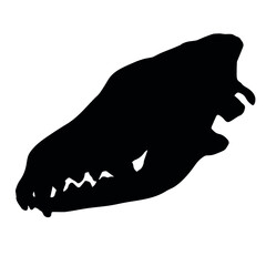 Vector hand drawn dog wolf skull silhouette isolated on white background