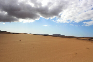 Fototapeta na wymiar Desert and semi-desert of the Canary islands. Fuerteventura island, Spain