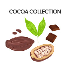 Hand drawn set of cocoa beans, cocoa pod, chocolate pieces and leaf in cartoon style. Vector illustration.