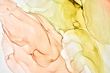 Fototapeta premium Abstract ocher green watercolor background. Yellow orange brown paint stains and spots in water, luxury fluid liquid art wallpaper, autumn colors mix