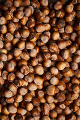 pile of ripe hazelnuts