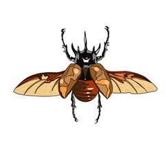 bug illustration