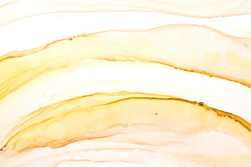 Abstract ocher watercolor on white background. Yellow orange brown paint stains and spots in water,...