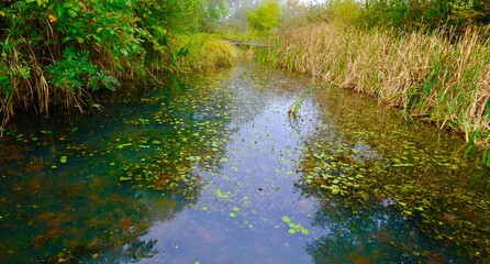 LE VIEUIX RHÔNE FLEUVE