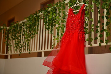 Red Wedding Dress, Plants, Wall, Door, fence