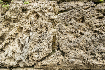 Background of a wrinkled tuff rock