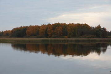 Fototapeta na wymiar Autumn forest on the shore of the lake reflected in the calm water.Natural landscape in Russia