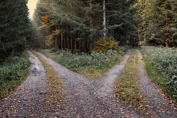 Weggabelung im Wald bei Sonnenuntergang