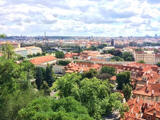 Obraz premium Overview landscape in Prague, Czech Republic. Roofs of many buildings and greenery. Architecture very unique to the city of Prague.