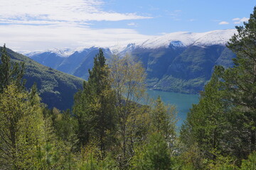 Norwegian Fjord Territory Generic Nature Pictures and Beauty, Norway HQ