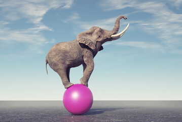 Elephant on a sphere.