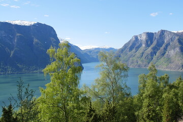 Fototapeta na wymiar Norwegian Fjord Territory Generic Nature Pictures and Beauty, Norway HQ