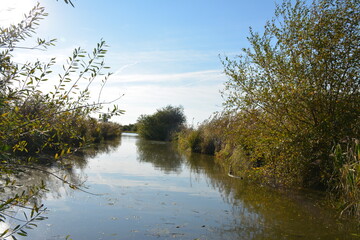Passay - Lac de Grand Lieu