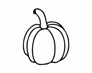 Pumpkin drawn with a black line, icon, doodle. Vector illustration