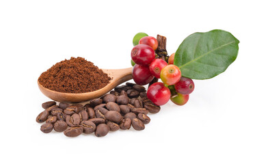 Roasted coffee bean and fesh coffee bean on white background