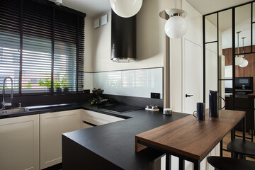 Minimalistic modern brown panel kitchen interior with biuld-in kitchen and kitchen island....
