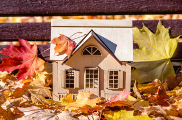 The symbol of the house stands among the fallen autumn leaves
