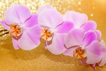 A branch of purple orchids on a shiny gold background.
