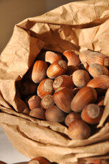 Hazelnut. Collect the nuts in a paper bag. Close-up. Organic.