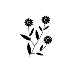 Galendula olor line icon. Essential oils. Pictogram for web page, mobile app, promo.