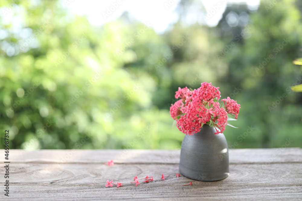 Wall mural Arachnothryx leucophylla (Kunth) Planch red flower in a black vase