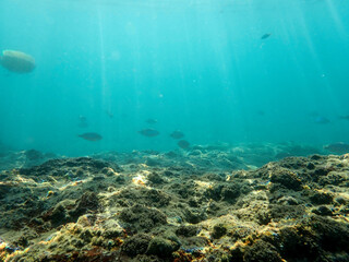 Island and half underwater mediterranean sea, sandy underwater in the Mediterranean Sea, The nature of marine life and umbrella of the Mediterranean, undersea and beach sand.