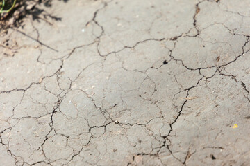 Dry cracked ground in the park in the shade