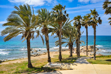The charm of the spring coast of Paphos consists of the bright color of the sea, bizarre coastal...