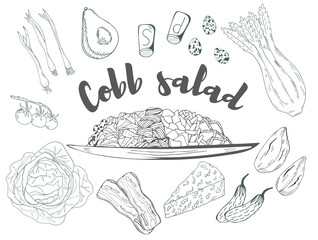 Cobb Salad served on plates with ingridients hand drawn with contour lines on white background