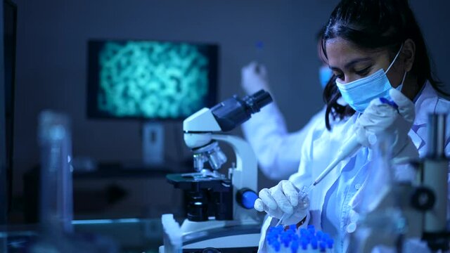 Female Scientist Working In Laboratory With Test Tubes, Research.