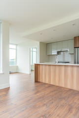 Modern, bright, clean empty kitchen interior with stainless steel appliances in a luxury house.