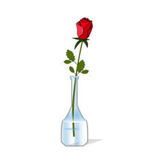 Vase with red rose. Cartoon style