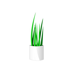 Indoor plant in a pot on isolated background. Cartoon style. Green natural decor for home and interior.