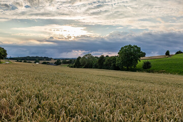 Naklejka premium Country landscape in sunshine in Germany