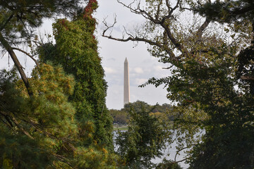 Washington, DC, USA - October 25, 2021: Washington Monument Framed by Trees in Fall as Seen from the Opposite Side of the Potomac River