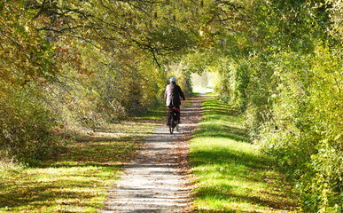 Fototapeta premium bike tour in autumn,radtour im herbst